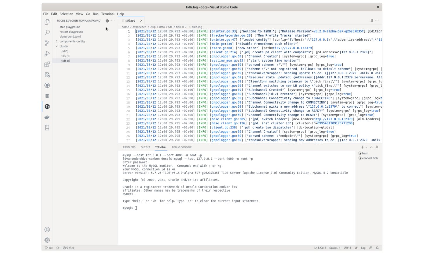 TiDE showing a MySQL prompt and logging