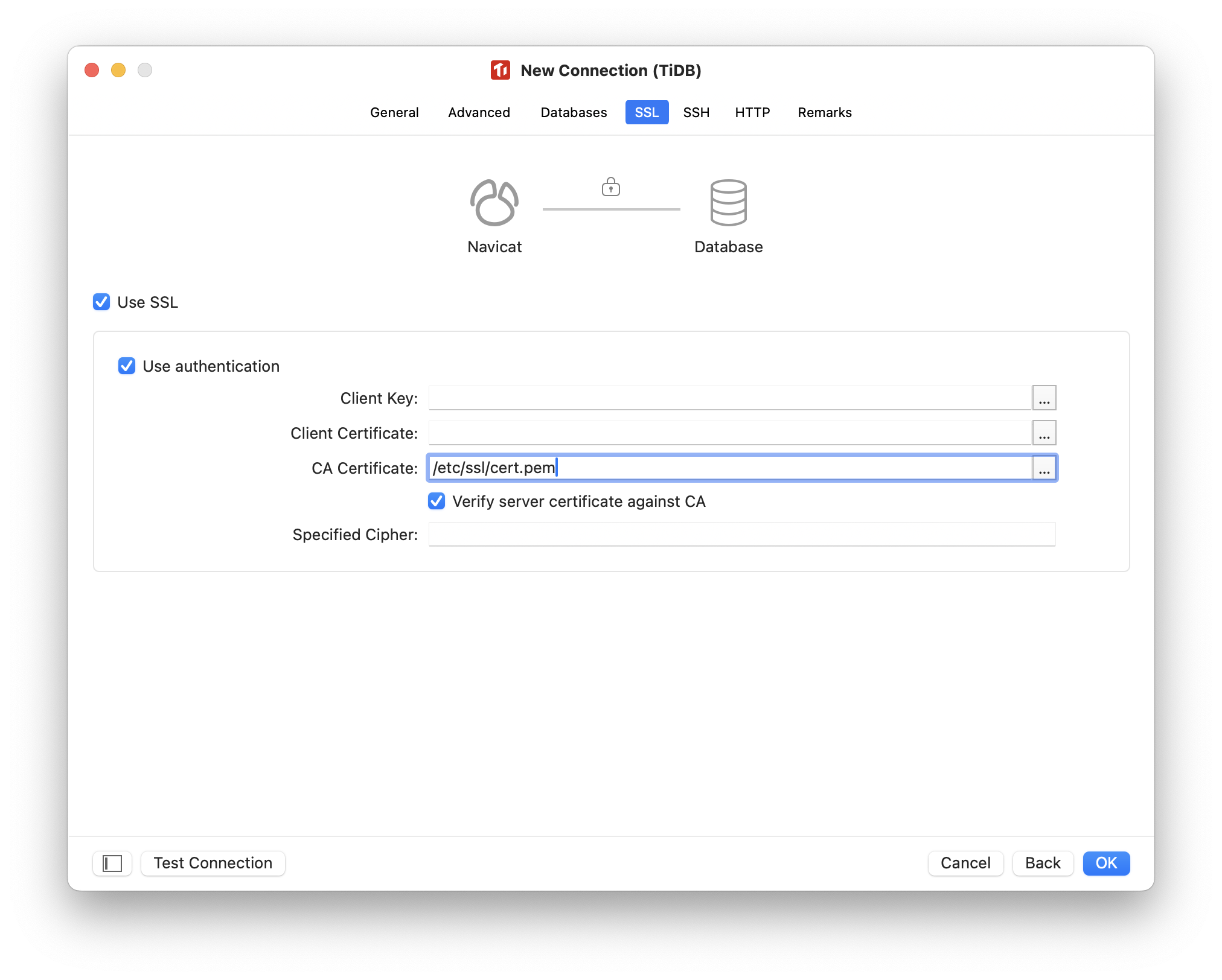 Navicat: configure connection SSL panel for TiDB Serverless